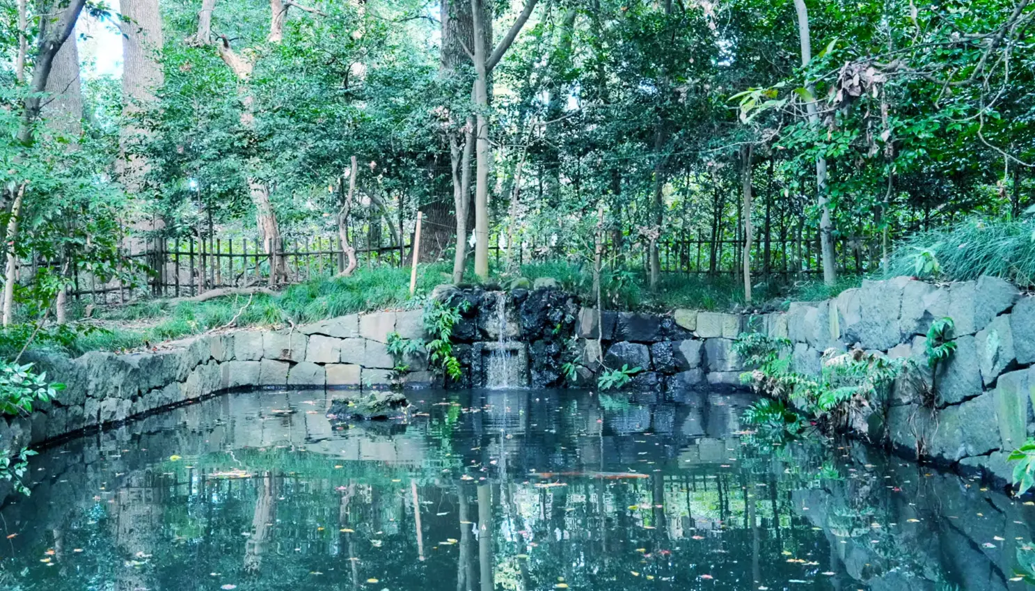 蛇の池